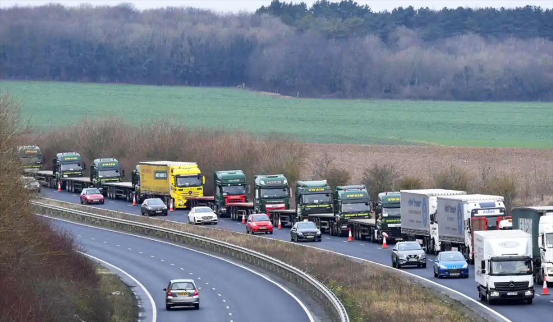 source : https://www.theguardian.com/politics/2019/aug/18/brexit-leaked-papers-predict-food-shortages-and-port-delays-operation-yellowhammer